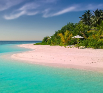 Dream Holiday
